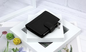 SW49A Карточница Card case